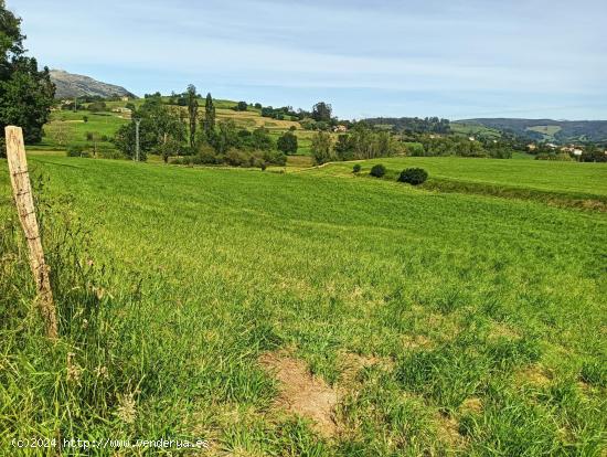  TERRENO RUSTICO JUNTO AL PARQUE NATURAL DE CABARCENO - CANTABRIA 