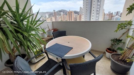 PRECIOSO APARTAMENTO EN ZONA LEVANTE - ALICANTE