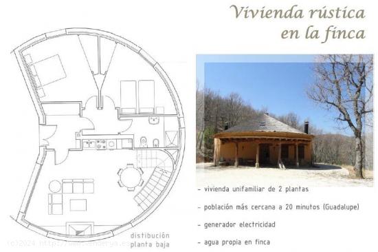  Finca de 54,5 hectareas con vivienda tipo cabaña africana - CACERES 