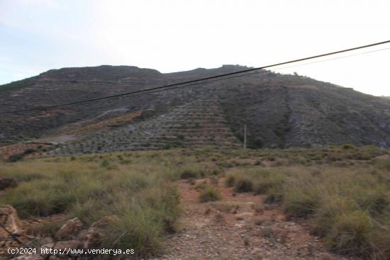  FINCA EN FELIX - ALMERIA 