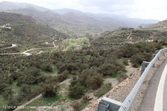 FINCA DE REGADIO EN CANJAYAR (ALMERIA) - ALMERIA