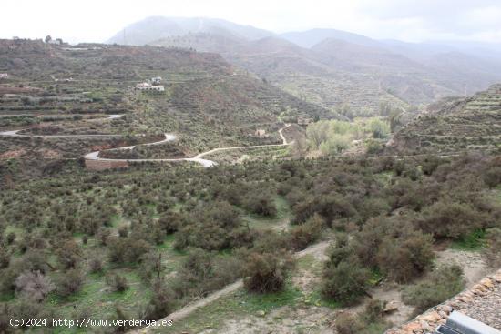 FINCA DE REGADIO EN CANJAYAR (ALMERIA) - ALMERIA