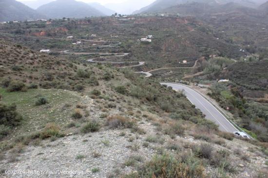 FINCA DE REGADIO EN CANJAYAR (ALMERIA) - ALMERIA