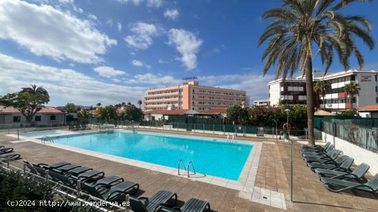  Fantástico Bungalow en Playa del Inglés - LAS PALMAS 