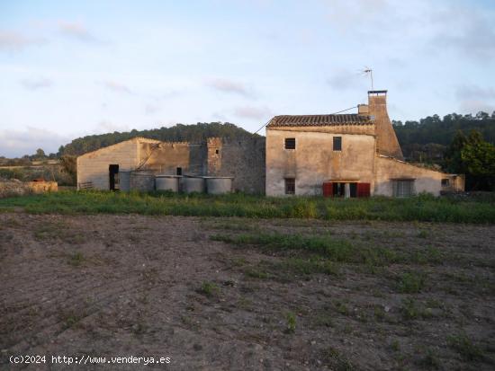 Rústica a reformar en Porreras - BALEARES