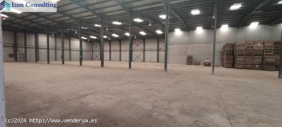 nave de 3200 m2 y terreno adjunto de 10000 m2 - ALBACETE