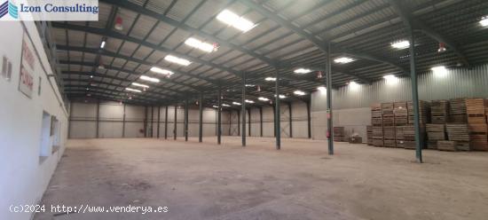 nave de 3200 m2 y terreno adjunto de 10000 m2 - ALBACETE