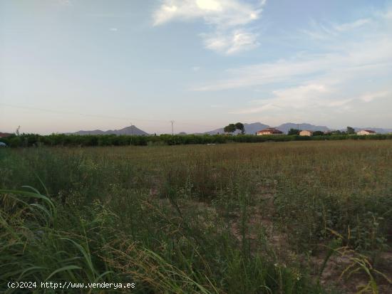  ¡Se vende en Llano de Brujas terreno de 3.600 m2 edificable! - MURCIA 