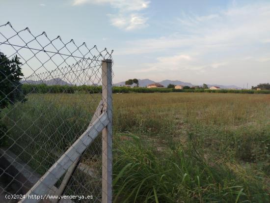 ¡Se vende en Llano de Brujas terreno de 3.600 m2 edificable! - MURCIA