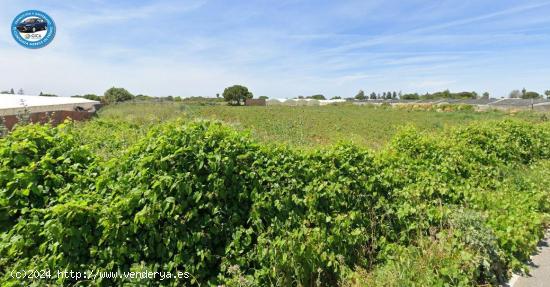 FINCA RUSTICA EN CAMINO MUNIVE - CADIZ