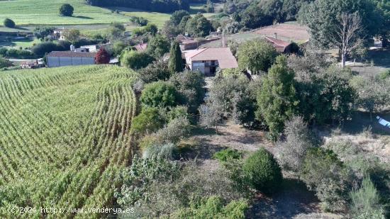 CASA TRADICIONAL GALLEGA - LALÍN - A 40 MINUTOS DE SANTIAGO - PONTEVEDRA