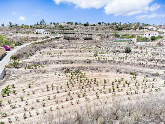 Excepcional terreno rural entre Teulada y Moraira - ALICANTE