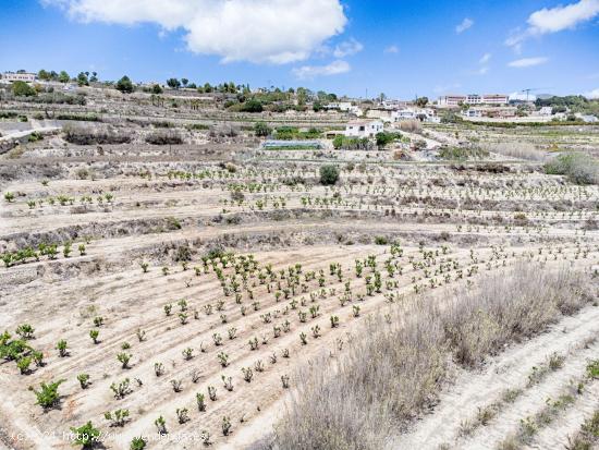 Excepcional terreno rural entre Teulada y Moraira - ALICANTE