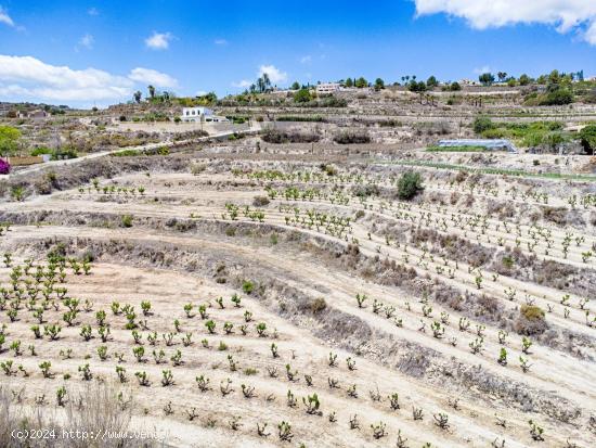 Excepcional terreno rural entre Teulada y Moraira - ALICANTE