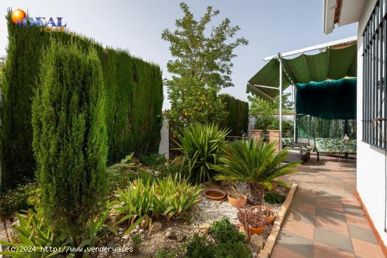 Chalet independiente en una sola planta. Sin barreras arquitectónicas y primerísimas calidades. Si