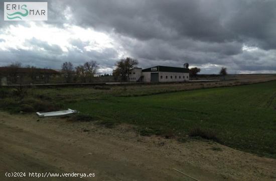 TERRENO INDUSTRIAL EN VENTA EN NUMANCIA DE LA SAGRA - TOLEDO