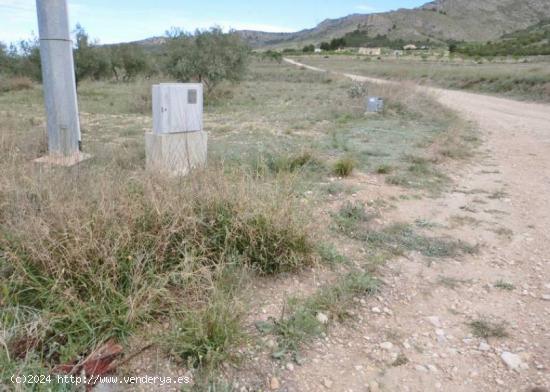 TERRENO RUSTICO - ALICANTE