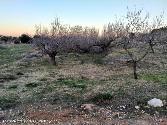  Oportunidad! Se vende terreno en Perín. - MURCIA 