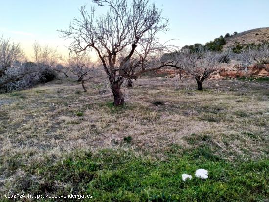 Oportunidad! Se vende terreno en Perín. - MURCIA