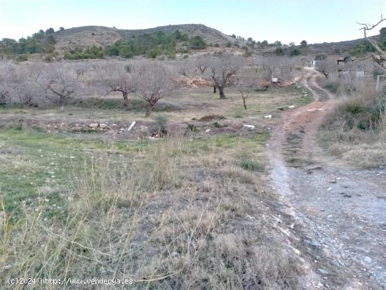 Oportunidad! Se vende terreno en Perín. - MURCIA