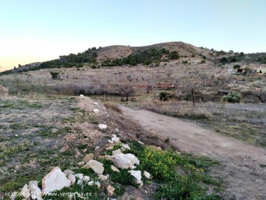 Oportunidad! Se vende terreno en Perín. - MURCIA