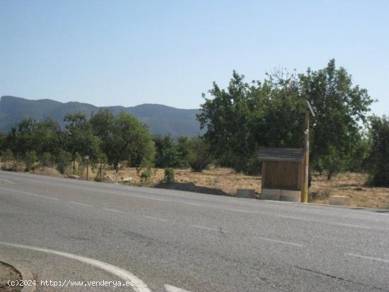 Terreno rústico en venta Bunyola - BALEARES