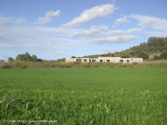 FINCA RÚSTICA CON PROYECTO PARA VIVIENDA EN ALGAIDA - BALEARES