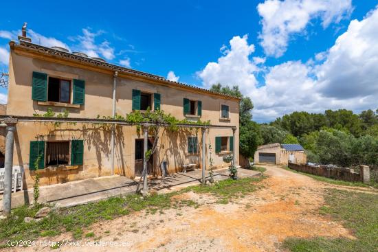 ALGAIDA! MAGNIFICA FINCA RUSTICA DE 121.000M2 CON UNA CASA DE 487M2. - BALEARES