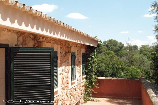 PRECIOSA CASA DE PIEDRA VISTA EN ALGAIDA PUEBLO !! - BALEARES