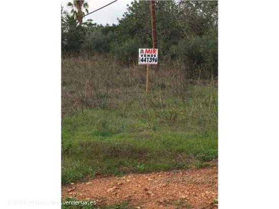 LLUCMAJOR: FINCA RUSTICA: MAGNIFICA SITUACION CON ACCESO ASFALTADO Y LUZ DE GESA A PÌE DE FINCA. - 