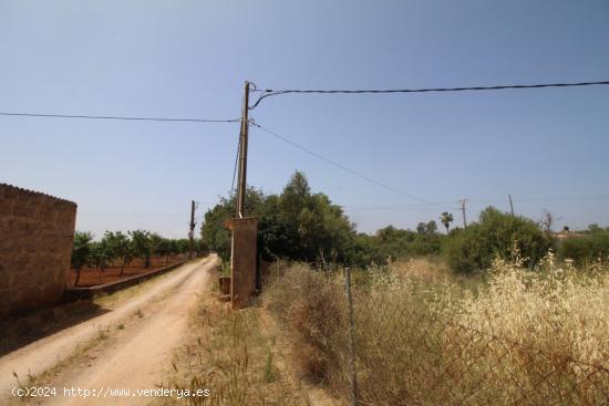 LLUCMAJOR: FINCA RUSTICA: MAGNIFICA SITUACION CON ACCESO ASFALTADO Y LUZ DE GESA A PÌE DE FINCA. - 