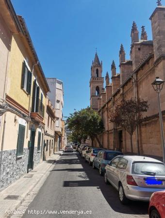 PALMA! SE ALQUILA GRAN LOCAL COMERCIAL!! - BALEARES