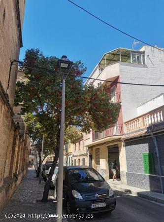 PALMA! SE ALQUILA GRAN LOCAL COMERCIAL!! - BALEARES