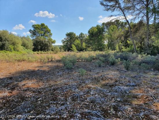 Se Vende en Algaida - BALEARES