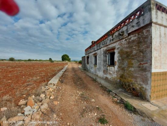 VILLARREAL. PARCELA EN ZONA LA FLORIDA CON CASA - CASTELLON