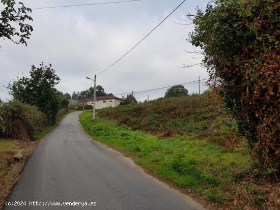 PARCELA URBANA 1203M EN ABEGONDO - A CORUÑA