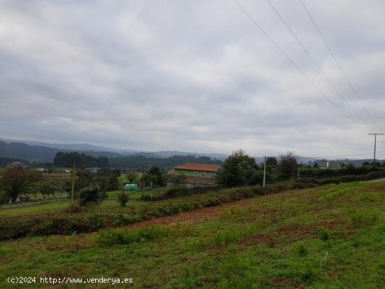 PARCELA URBANA 1203M EN ABEGONDO - A CORUÑA