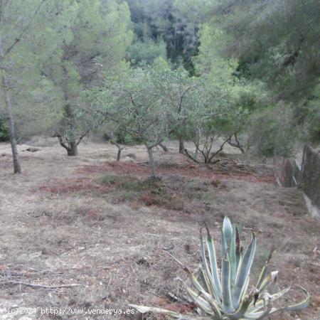 Parcela urbana edificable en zona Urb, Mig Camí - TARRAGONA