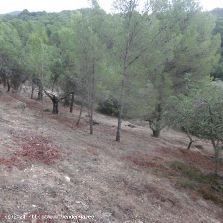 Parcela urbana edificable en zona Urb, Mig Camí - TARRAGONA