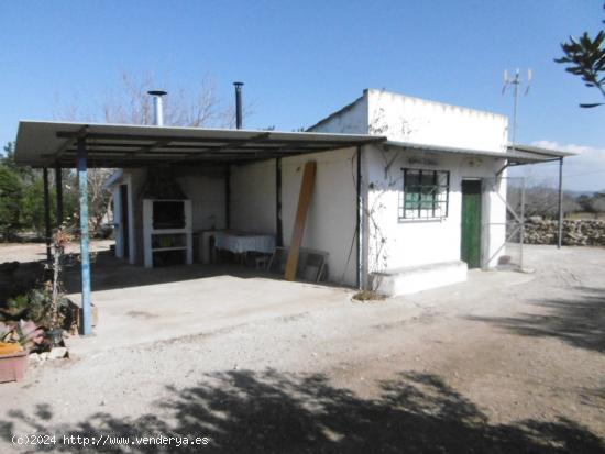 Terreno rural con casita de campo , pozo propio - TARRAGONA