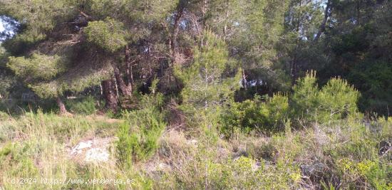  Finca Rustica en Sant Llatzer de 1400m2 de parcela - TARRAGONA 