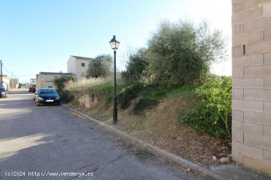 Estupendo Solar Villafranca - BALEARES