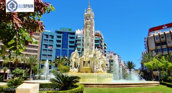 ALQUILER LOCAL CENTRO DE ALICANTE PLAZA DE LOS LUCEROS - ALICANTE