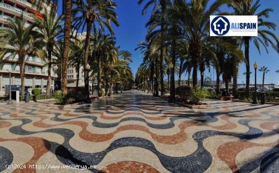  ALOJAMIENTO TURÍSTICO CON LICENCIA EN EL CORAZÓN DE ALICANTE CENTRO CIUDAD - ALICANTE 