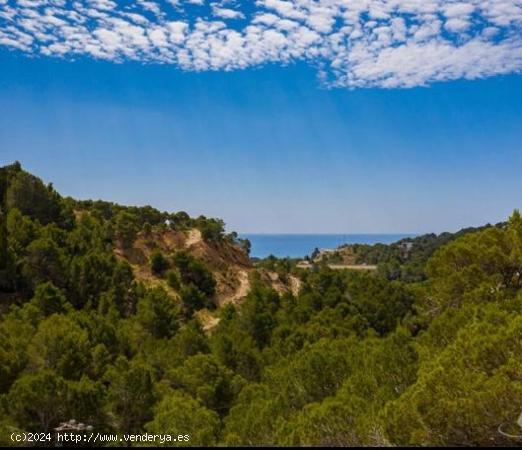  OPORTUNIDAD! Gran parcela en zona de golf - ALICANTE 