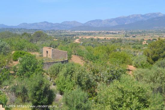 LAS MEJORES VISTAS DE MALLORCA - BALEARES