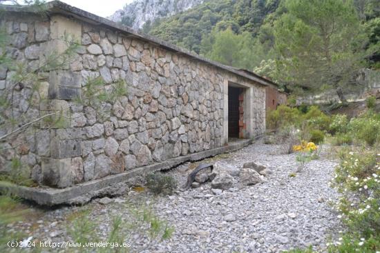  Gran finca en medio de la Serra Tramuntana. - BALEARES 