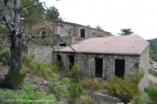 Gran finca en medio de la Serra Tramuntana. - BALEARES