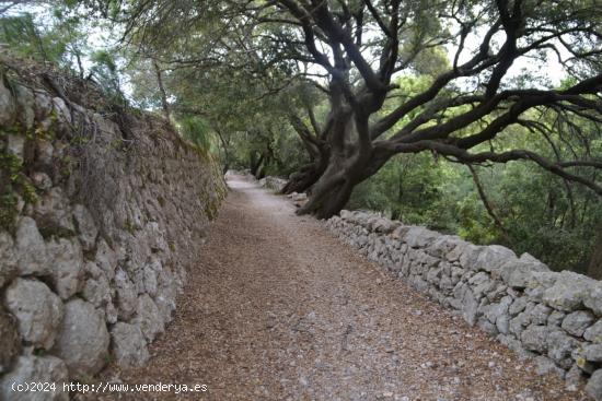 Gran finca en medio de la Serra Tramuntana. - BALEARES