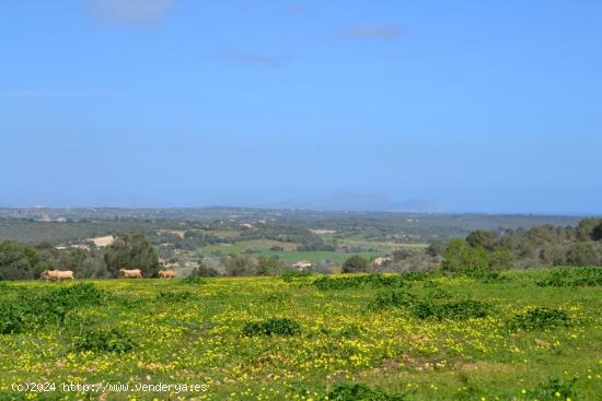 Impresionante finca - BALEARES